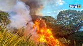 Cusco: Incendio forestal arrasó con más de 600 hectáreas de pastizales (VIDEO)