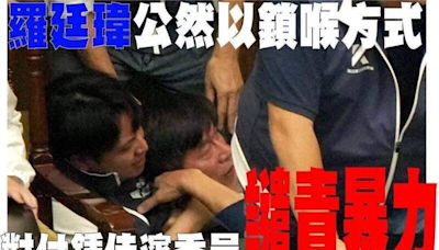 國會朝野衝突》 綠營中市議員痛批：廖偉翔、羅廷瑋睜眼說瞎話