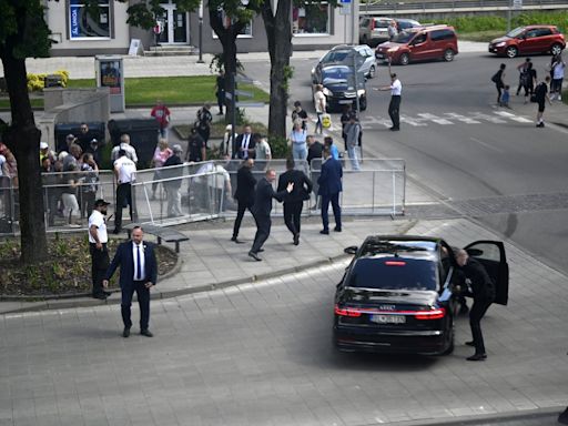 The suspect in the attempted assassination of Slovakia's prime minister now faces terror charges