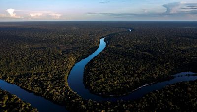 Brasil pode liderar projetos de preservação de florestas no mundo, com Arco da Restauração na Amazônia, diz BNDES