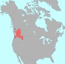 Salishan languages