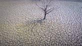 Drought will cause crop failures in Spain, farmers warn