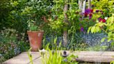 Meadowscaping is the easy garden trend we're seeing everywhere – here's how to get started