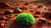 How this 'super moss' may help humans survive on Mars: Scientists reveal - Times of India