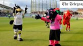 Middlesex chief ‘groped Pinky the Panther club mascot’