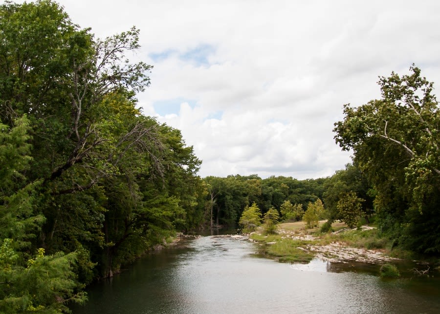 Sharks in Guadalupe River? What the city of New Braunfels has to say