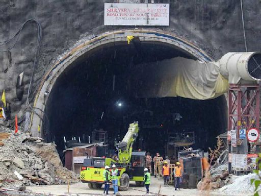 Silkyara tunnel collapse: Action against erring persons after expert panel report, says Nitin Gadkari