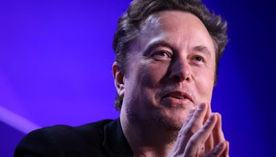 How an Elon Musk PAC is using voter data to help Trump beat Harris in 2024 election