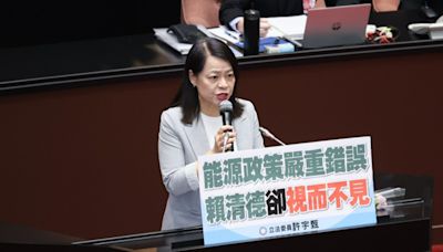 傳綠營發對罷免藍委抵制國會改革 許宇甄：不尊重立委代表民意、傅崐萁：欣然面對