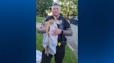 Firefighters rescue fawn from sewer in South Park Township