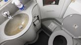 Passengers just realising hidden plane toilet feature will keep you germ free