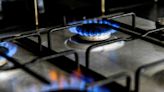 Gas and propane stoves linked to 50,000 cases of childhood asthma, study finds
