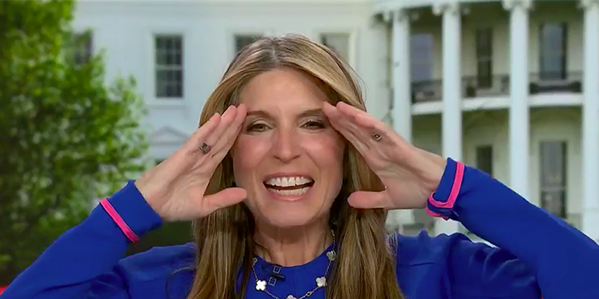 MSNBC's Nicolle Wallace says her 'whole body went cold' when she heard this testimony