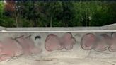 Green Bay police investigating graffiti incidents at Joannes Skate Park