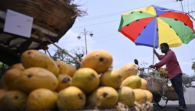 Why mango is the king of fruits in India
