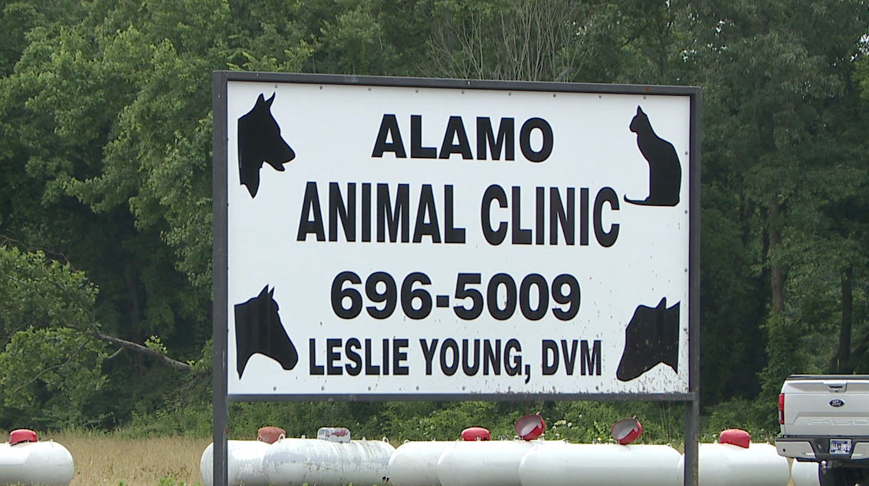 Alamo Animal Clinic hosts 10 year anniversary celebration - WBBJ TV