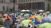 Protesters take over school building on Columbia University campus