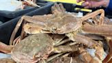 Crab tie-up means plant workers turn to income support, says Opposition critic