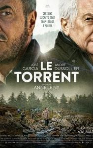 Le torrent