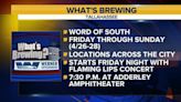 What’s Brewing - World of South Festival