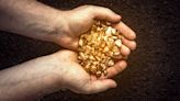 Is It Time For A Gold Rush? Younger Investors Pile In