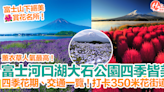 【河口湖景點2024】富士河口湖大石公園四季皆美！四季花期、交通一覽！打卡350米花街道！ | HolidaySmart 假期日常