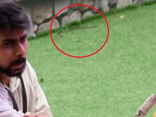 Fans spot snake crawling behind handcuffed Lovekesh Kataria in Bigg Boss OTT 3 house. Watch