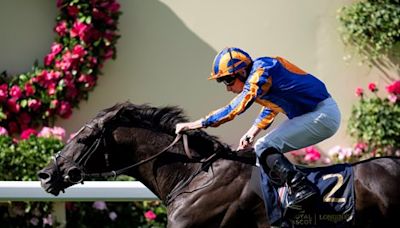 Auguste Rodin Bounces Back in Prince of Wales's Win