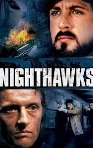 Nighthawks (1981 film)