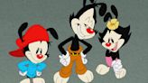 How The Animaniacs And Pinky And The Brain Casts Feel About Their Characters Appearing In A Live-Action Project
