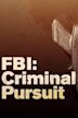 FBI: Criminal Pursuit