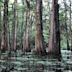 Black Bayou Lake National Wildlife Refuge