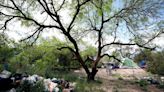 Photos: Tucson homeless encampment inside of the 100-Acre Wood bike park