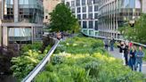 The High Line Opened 15 Years Ago. What Lessons Has It Taught Us?