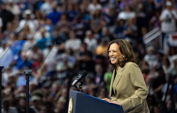 The 2024 Democratic National Convention kicks off next week. Here's what to expect.