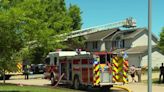 3 dogs rescued in Ankeny house fire