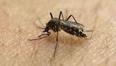 9 test positive for Zika virus in Pune district; tally stands at 48