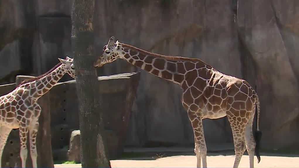 Free admission for mom brings families to Milwaukee County Zoo for Mother's Day
