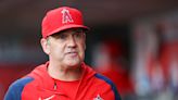 Angels promote catching coach Bill Haselman to interim interim interim manager