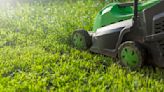 Best electric lawn mowers of 2024