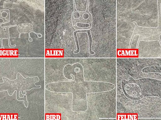 More than 300 Nazca glyphs found in Peru including Wall-E-style figure