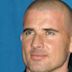 Dominic Purcell