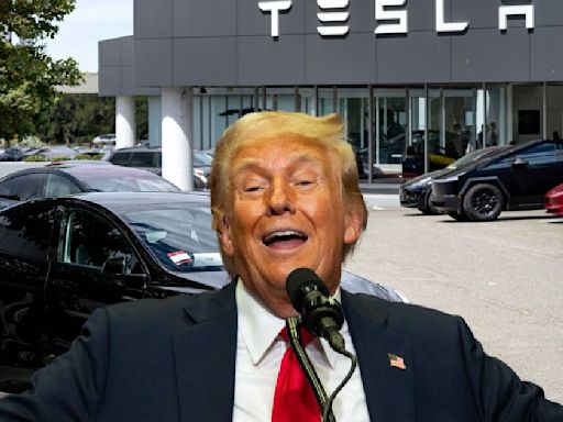 ¿Fábrica de Tesla no llegaría a México por culpa de Donald Trump? Esto dijo Elon Musk