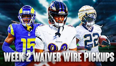 Fantasy Football: Top 10 Waiver Wire Pickups For Week 2 (2024)