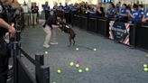 Furry farewell: Mitchell International Airport's first TSA explosive detection dog retires