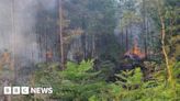 Verwood: Firefighters tackle large forest and heath blaze