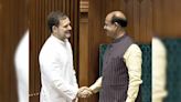 Lok Sabha Speaker Recognises Rahul Gandhi As Leader Of Opposition In House