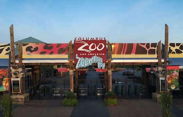 Former Columbus Zoo CEO pleads guilty connected to $2.29M fraud scheme