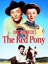 The Red Pony (1949 film)