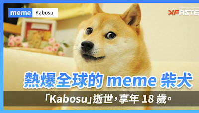 熱爆全球的 meme 柴犬「Kabosu」逝世，享年 18 歲。